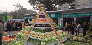 মেলায় ৩ দিনে ৩১ লাখ টাকার সবজি বিক্রি
