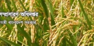 আউশে প্রণোদনা কর্মসূচি বাস্তবায়নে ডিএই’র জরুরি নির্দেশনা