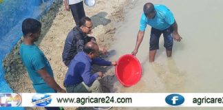 জীববৈচিত্র ধরে রাখতে বিলুপ্ত মাছের ব্রিডিং