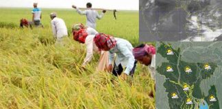 এ সময়ের কৃষি আবহাওয়ার