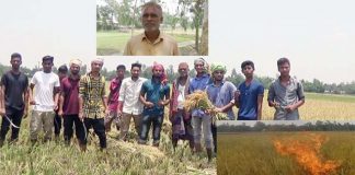কী হয়েছিলো সেদিন ক্ষেতে