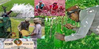 কৃষিতে বরাদ্দ ১৪ হাজার ৫৩ কোটি টাকা, পূর্বের প্রণোদনা বহাল কৃষিতে বরাদ্দ ১৪ হাজার