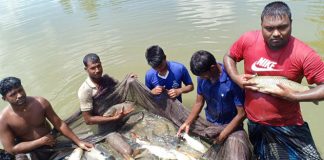 জাতীয় মৎস্য পুরস্কার ২০১৯
