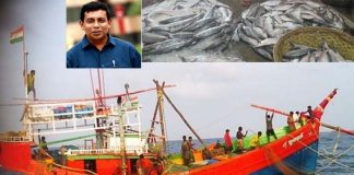 ইলিশ কী বাঁচলো তাহলে? ইলিশ কী বাঁচলো তাহলে
