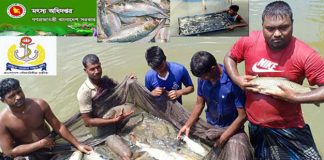 মৎস্য খাতে অবদানে যে