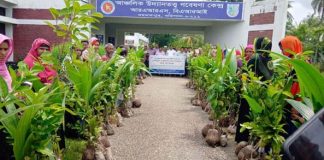 বরিশালে বারি উদ্ভাবিত বিভিন্ন ফল গাছের চারা বিতরণ