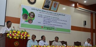 ইঁদুর নিধনে শুধু অভিযান