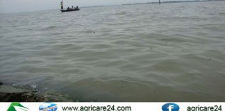 বৃষ্টিতে পানি বাড়ছে, বন্যা