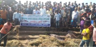 ব্রাহ্মণবাড়িয়ায় মা ইলিশ সংরক্ষণ