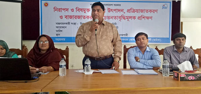 গোদাগাড়ীতে বিষমুক্ত টমেটো উৎপাদন