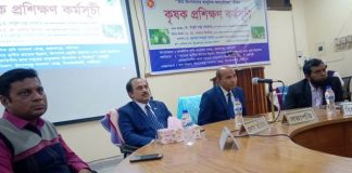 আম উৎপাদনের আধুনিক কৌশল