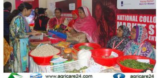 গ্রামীণ নারী উদ্যোক্তাদের উৎপাদিত পণ্য ন্যায্যদামে বিক্রির নিশ্চিয়তা প্রয়োজন গ্রামীণ নারী উদ্যোক্তাদের উৎপাদিত