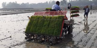 কৃষিতে যান্ত্রিকীকরণে উৎপাদন খরচ কমছে, বাড়ছে ফসলের নিবিড়তা কৃষিতে যান্ত্রিকীকরণে উৎপাদন খরচ