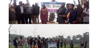 ধানের পোকা নিয়ন্ত্রণে প্রাকৃতিকভাবে
