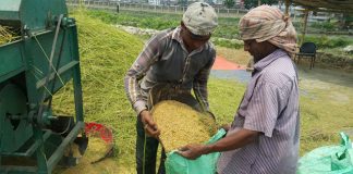 ধানের ন্যায্যমূল্য নিশ্চিতে এলাকাভিত্তিক