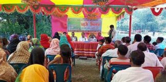 বারি-১৪ ও বারি-১৫ জাতের