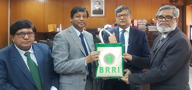ব্রি ধান৩৪ ও ৫০’র