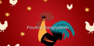 বাংলাদেশে আন্তর্জাতিক পোল্ট্রি দিবস