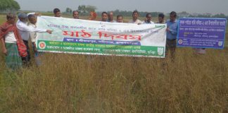 বারি ধনিয়া-২ চাষে আগ্রহ