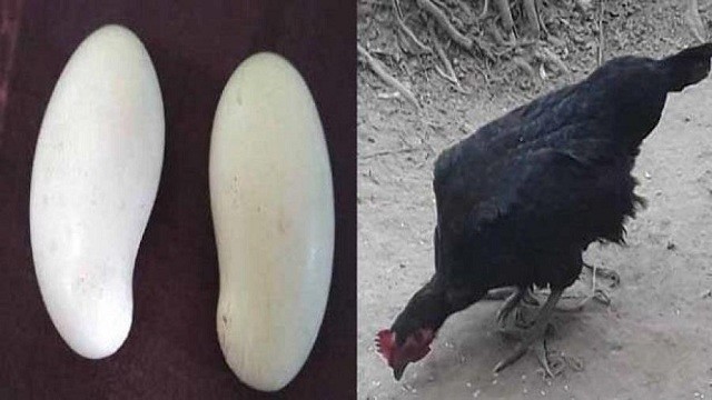 254