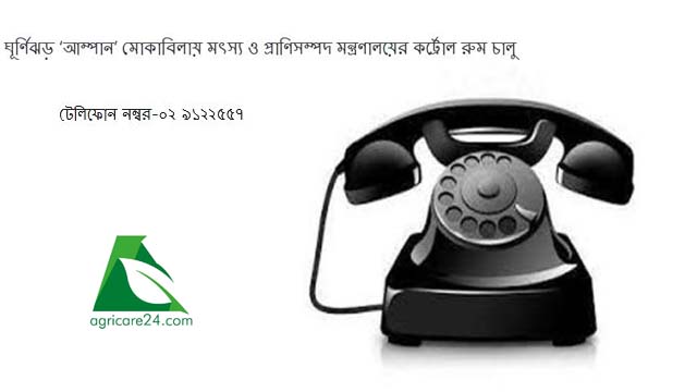 hotline
