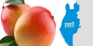 অনলাইন আমের বাজারে লাভবান তরুণ উদ্যোক্তারা