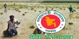 কৃষকের ক্ষতি পোষাতে কৃষি মন্ত্রণালয়ের ১২ তদারকি কমিটি