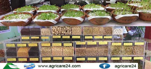 বীজ ব্যবসায়ী ও ডিলারদের