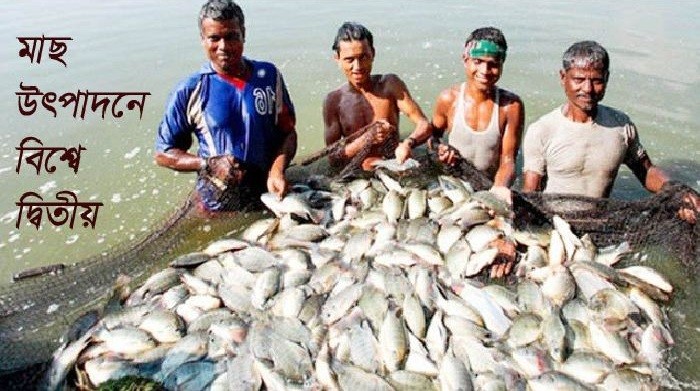 মাছ