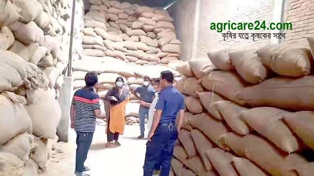 ধান