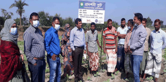 মাটির উর্বরতা ধরে রাখতে কার্বন সমৃদ্ধ জৈব সার