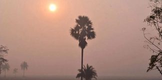 দিনে তাপমাত্রা অপরিবর্তীত, কমবে রাতে