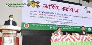 মসলাজাতীয় ফসলের উৎপাদন বাড়াতে মাঠ পর্যায়ের কর্মকর্তাদের নির্দেশ