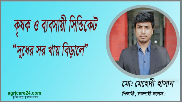 mehedi hasan