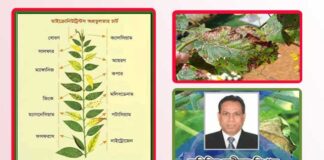 গাছের পাতা দেখে বিভিন্ন সারের অভাবজনিত লক্ষণ চিহ্নিতকরণ