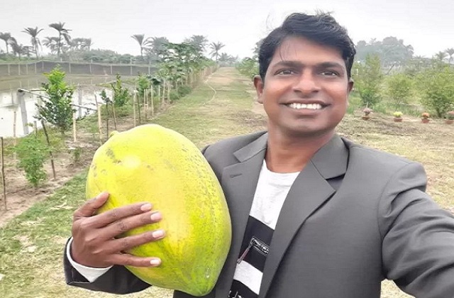 পেঁপে