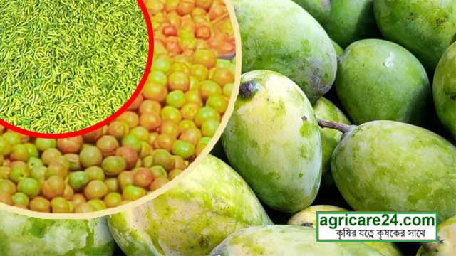 কৃষিপণ্য