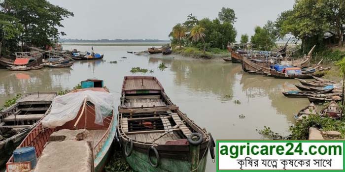 উপকূলীয় নৌকা