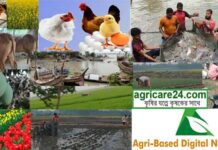 Agricare24 Picture