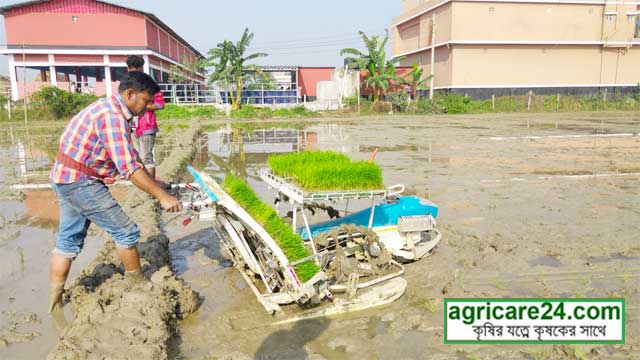 কৃষি জমি