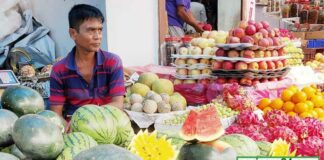 যশোরে ফলের বাজার চড়া