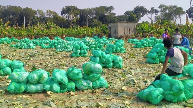 পাতাকপি