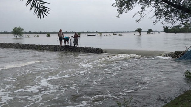 সাতক্ষীরায় ঘের ভেসে ক্ষতিগ্রস্ত মাছ চাষিরা