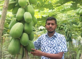 ইউটিউব দেখে কৃষিতে সাফল্য জাহাঙ্গীরের