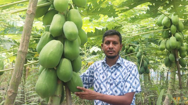 ইউটিউব দেখে কৃষিতে সাফল্য জাহাঙ্গীরের