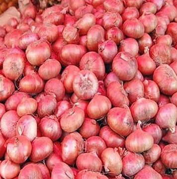 ভোক্তাদের স্বস্তি দিতে দেশে এসেছে নেদারল্যান্ডস ও মিশরের পেঁয়াজ