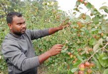 তরুণ কৃষি উদ্যোক্তা রাকিবুল ইসলামের সফলতার গল্প