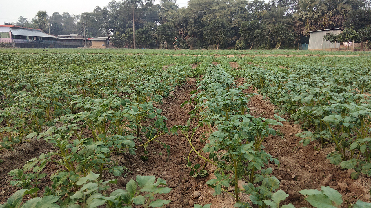 naogaon3-20241213113244