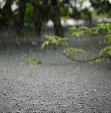 চার বিভাগে ভারী বৃষ্টির আভাস, কোথাও কোথাও অতিভারী বৃষ্টি