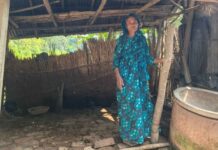 বৃদ্ধা জরিনার শেষ সম্বল গাভি চুরি, দিশেহারা অসহায় পরিবার